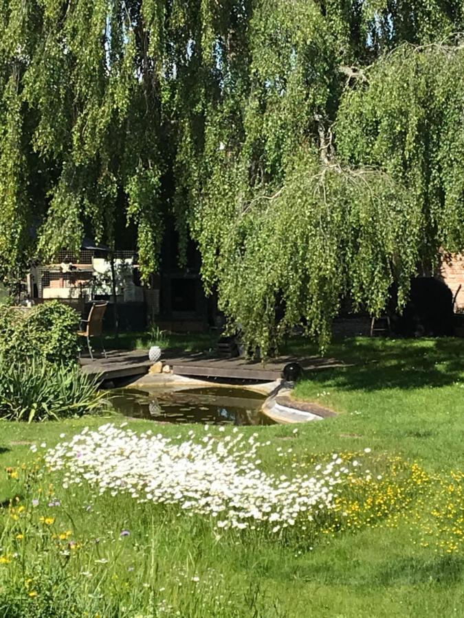 Appartamento Donautaler Wohlfuehloase Gundelfingen an der Donau Esterno foto