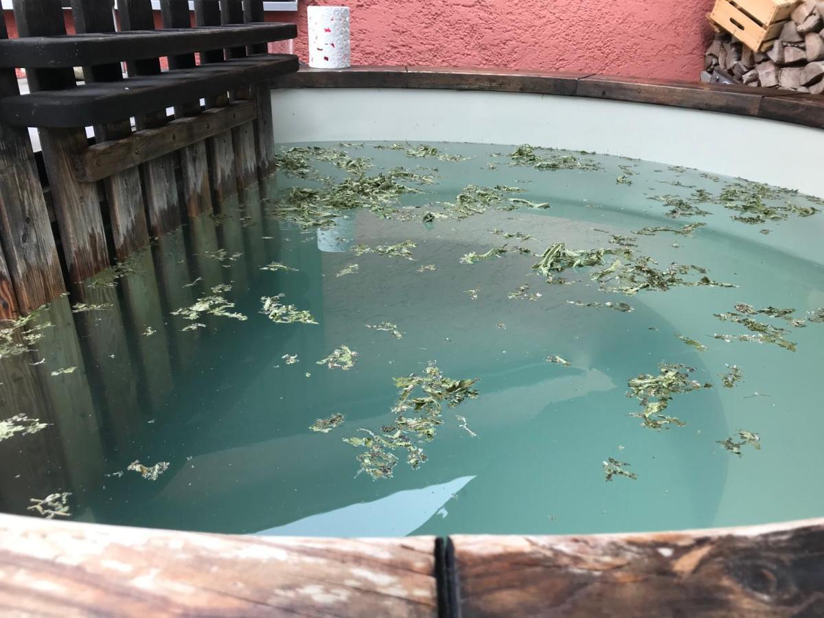 Appartamento Donautaler Wohlfuehloase Gundelfingen an der Donau Esterno foto